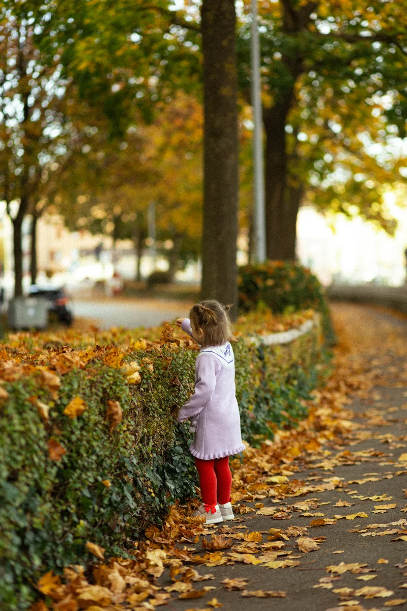 Baby Fotografie Luzern – Kleinkind erkundet neugierig herbstliche Hecke