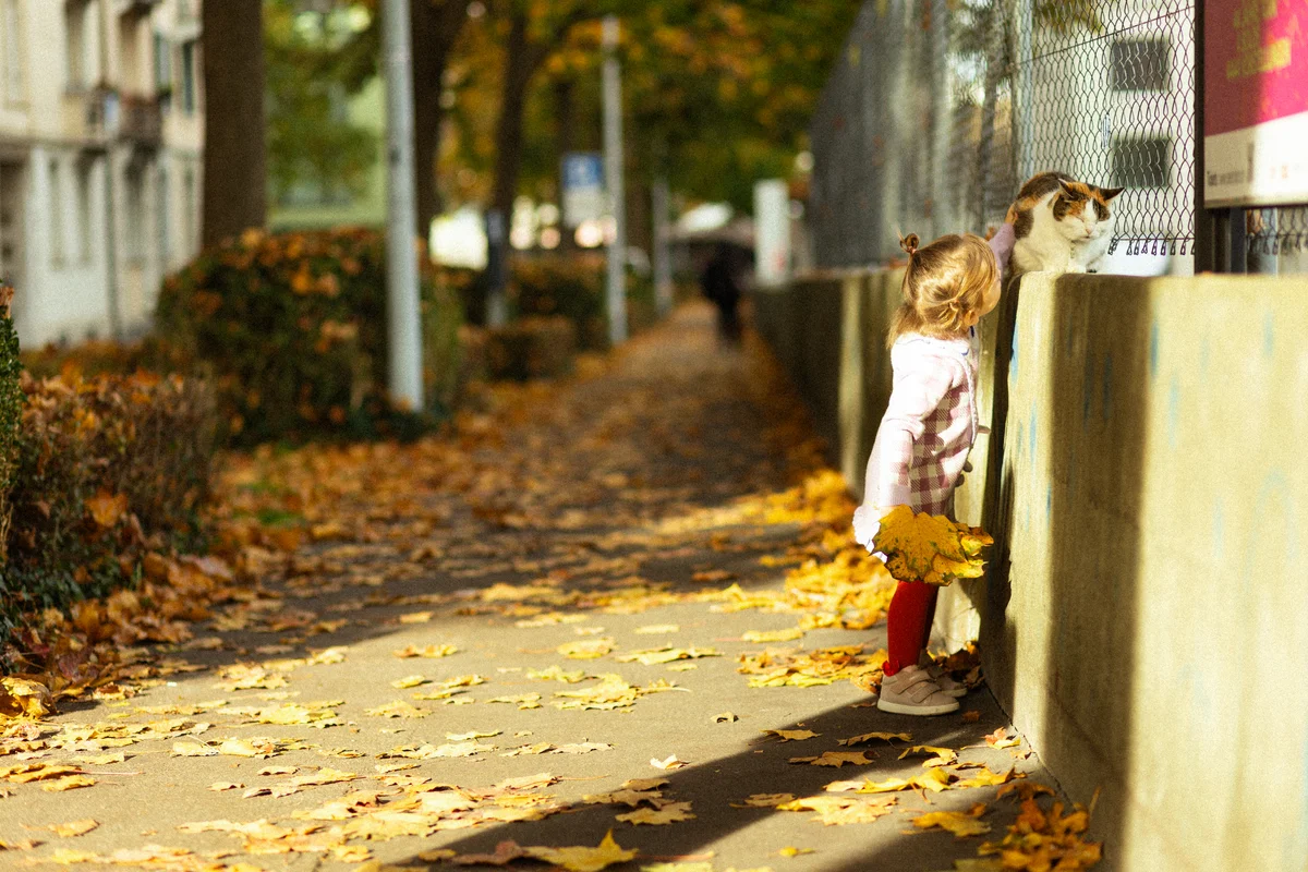 Kinderfotografie Herbst – Kleinkind entdeckt Katze auf herbstlicher Strasse