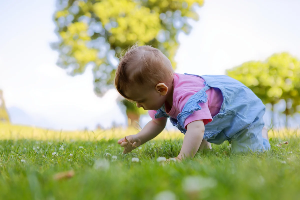 Baby Fotoshooting Outdoor – Kleinkind krabbelt auf blühender Wiese im Sommer