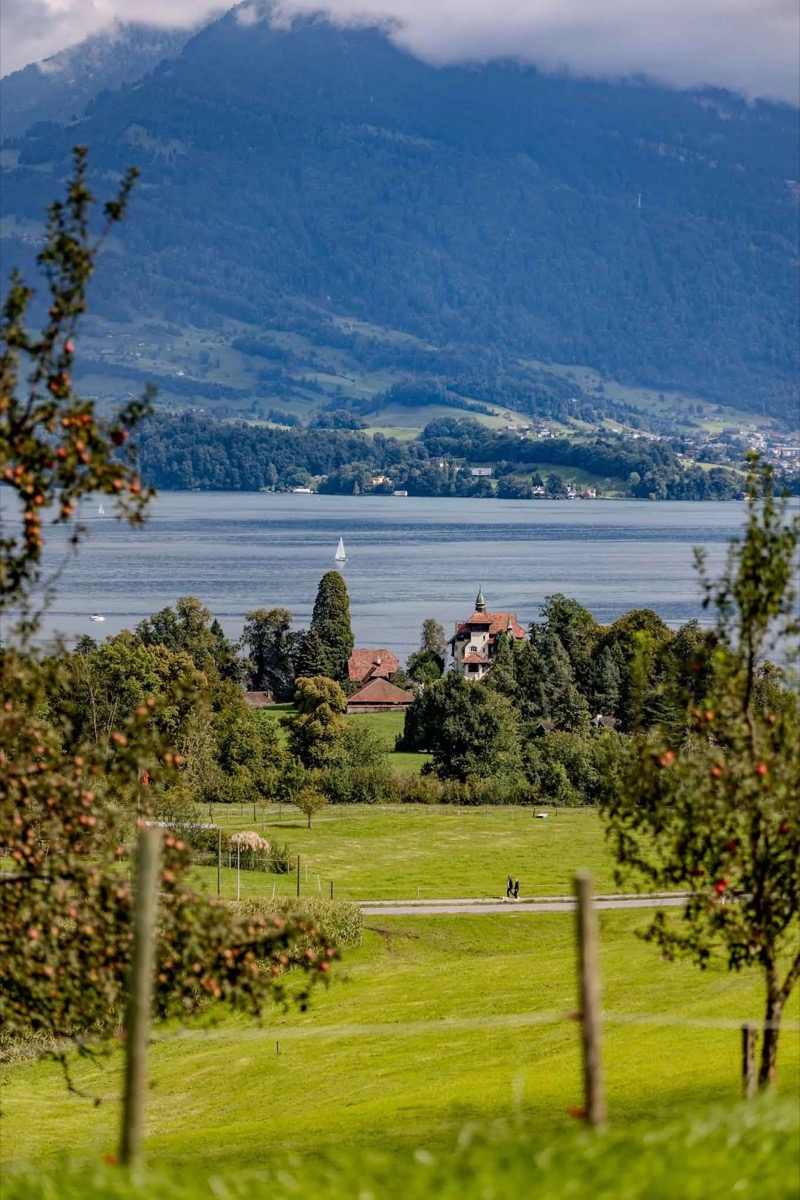 Wandern durch Kastanienbaum mit Blick auf die Rigi und den Vierwaldstättersee