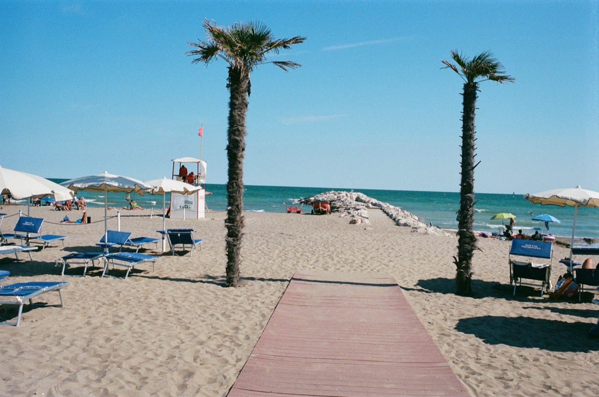 Strand von Ca'Pasquali bei Venedig – Palmen und Strandweg, fotografiert auf Kodak Portra 400