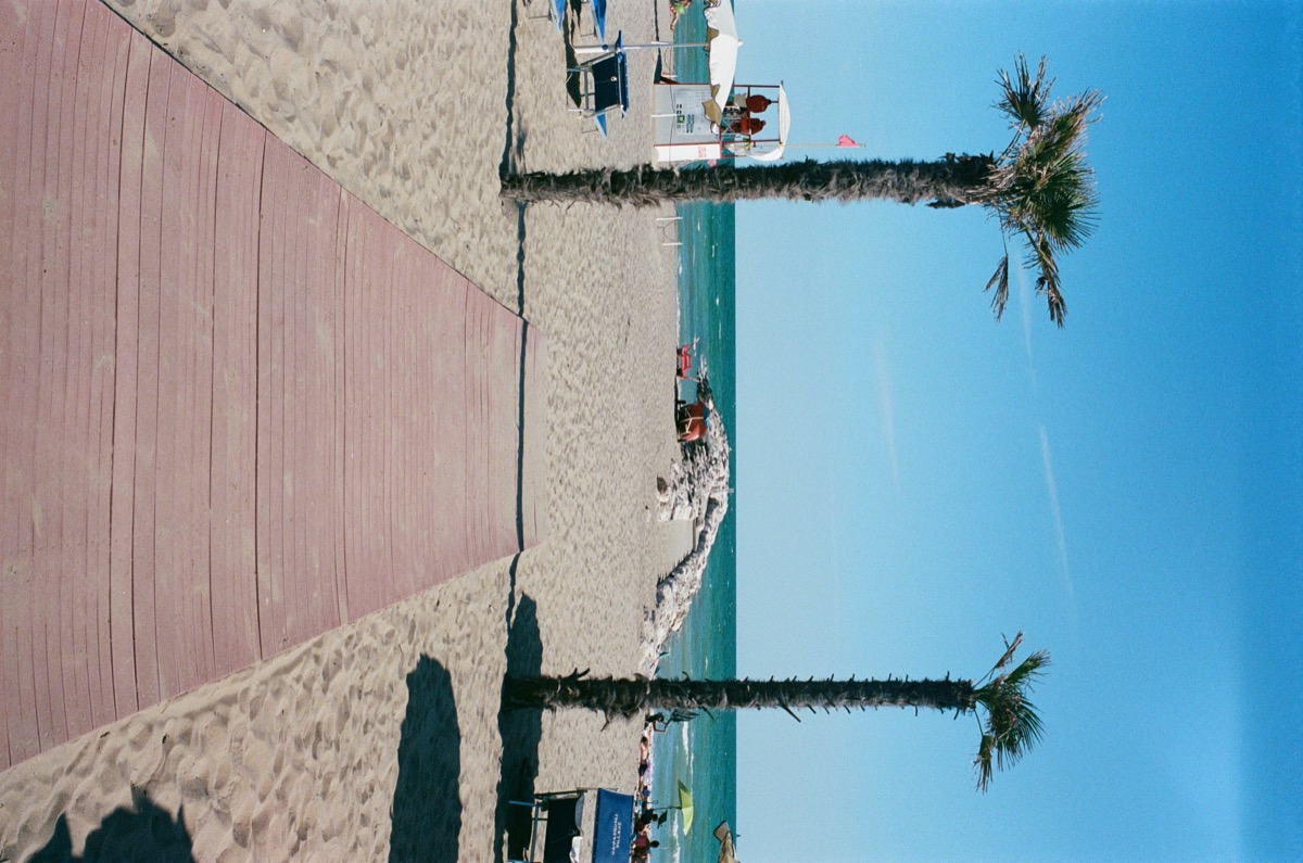 Palmenstrand analog fotografiert – Olympus OM-2N, Kodak Portra 400