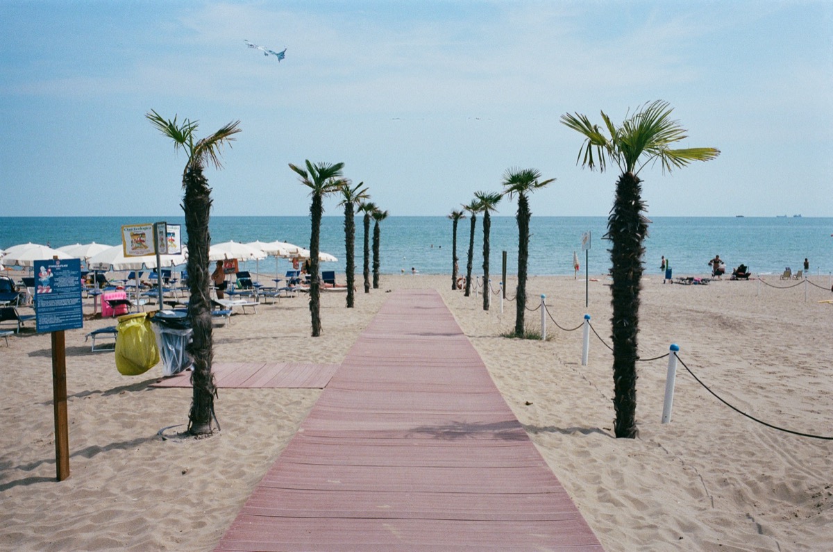 Palmenallee am Strand von Ca'Pasquali – analog auf Kodak Portra 400