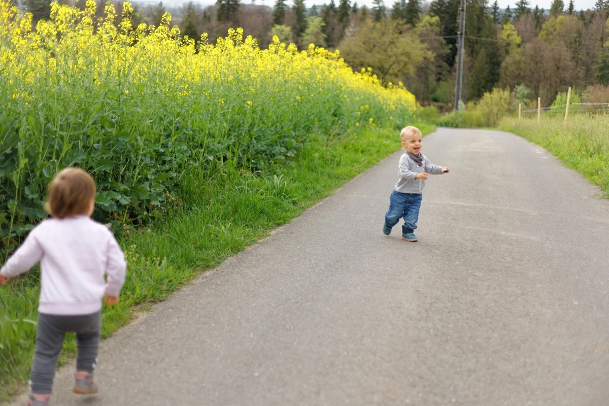 Familienportrait Luzern – emotionale Aufnahmen im Rapsfeld