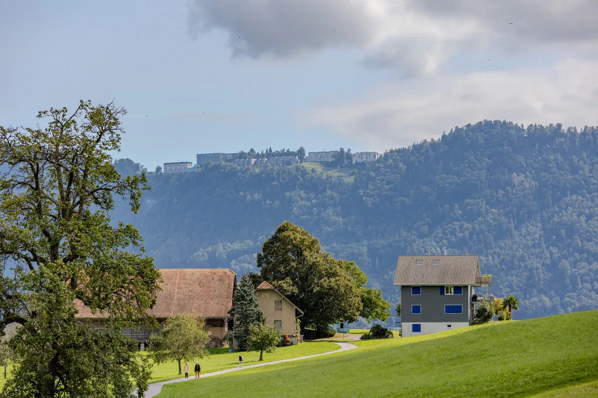 Bauernhäuser und grüne Wiesen oberhalb von Kastanienbaum